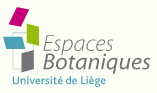 Image de l'activité
