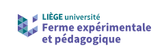 Image de l'activité